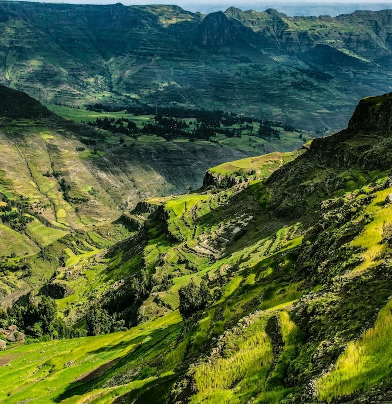 green_ethiopia
